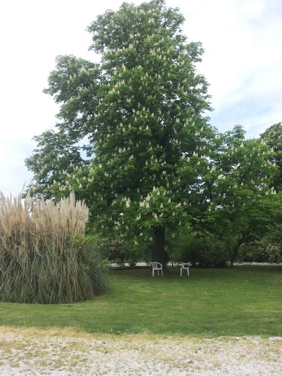Agriturismo Al Navile Malalbergo Екстериор снимка